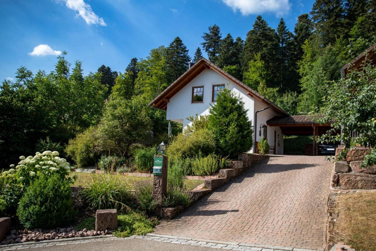 Schwarzwald Chalets Freudenstadt Zewnętrze zdjęcie